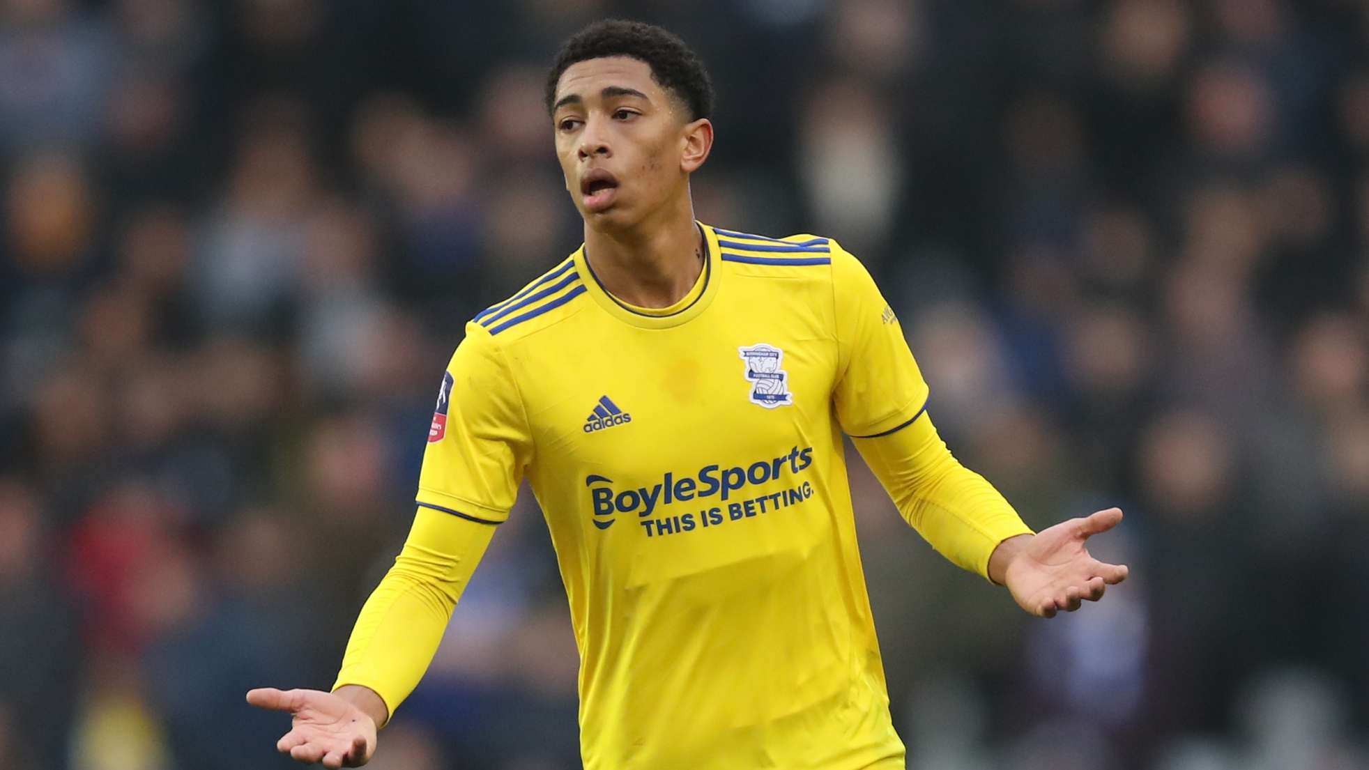 将可能遭遇 将可能遭遇