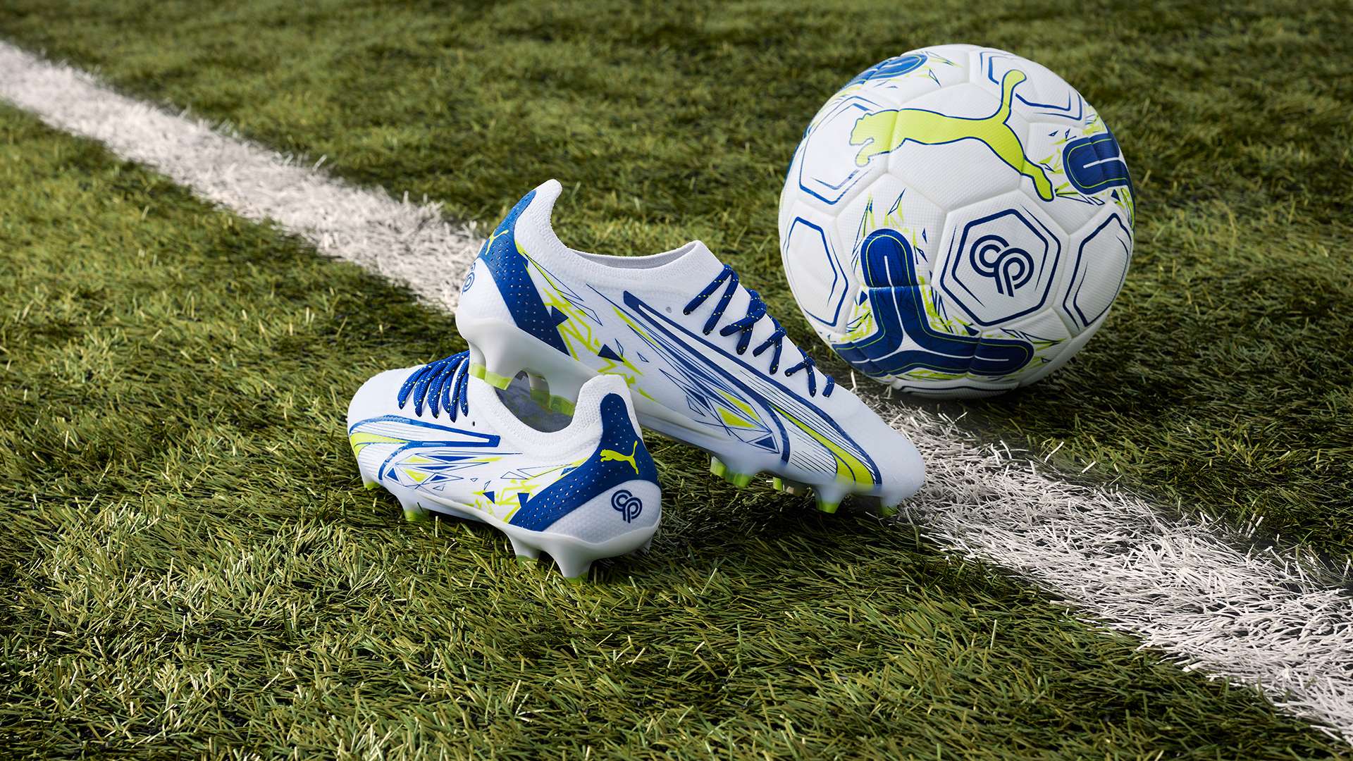 观赏性强而 观赏性强而